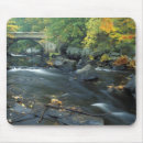 Search for jerry mousepads Marcy monkman