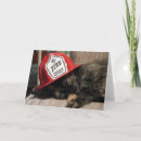 Search for chief cards Fireman