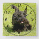 Search for scottish clocks Pets