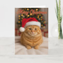 Search for cat lovers christmas cards Festive