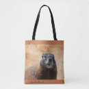 Search for marmots Wildlife