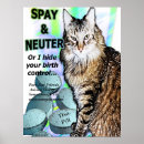 Search for shelter posters Spay