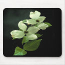 Search for multi region electronics Flower