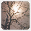 Search for moon tree stickers Spiritual