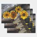 Search for log wrapping paper Wood