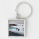 Search for penguins square key rings Fauna