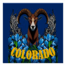 Search for bighorn posters Mammal