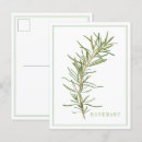 Search for parsley postcards Cooking