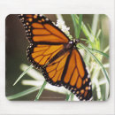 Search for monarchs mousepads Nature