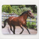 Search for maree electronics Equine