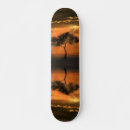 Search for collective skateboards Orange