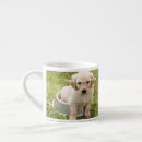 Search for photo espresso mugs Dog