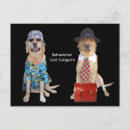 Search for funny animal photo postcards Pets