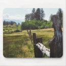 Search for split rail fence Meadow