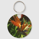 Search for bird key rings Exotic