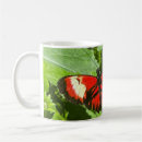Search for orange butterfly mugs Garden