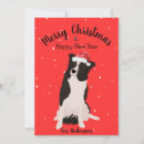 Search for hats christmas cards Border collie