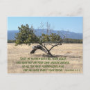 Search for lean postcards Nature