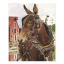 Search for mule posters Farm