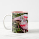 Search for spoonbill mugs Florida