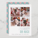 Search for pet christmas invitations Snow