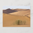 Search for arid postcards Africa
