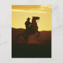 Search for rearing postcards Mustang