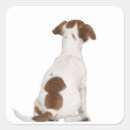 Search for rear view stickers Domestic animals