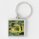 Search for stuart westmorland key rings Animal