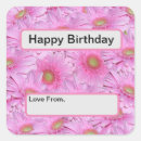 Search for pink gerbera stickers Flower