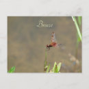 Search for x wing thank you cards Dragonfly