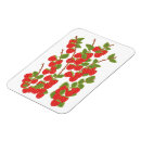 Search for raspberry magnets Illustration