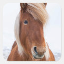 Search for winter coat stickers Superstock