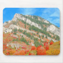 Search for utah electronics Landscape