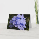 Search for lavender bouquet cards Garden