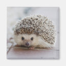 Search for adore magnets Animals