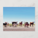 Search for three postcards California