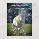 Search for poses postcards Funny