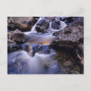 Search for creek fall Rock