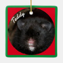 Search for pet rat christmas tree decorations Rodent