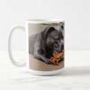 Search for staffy mugs Dog