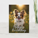 Search for papillon birthday cards Dog lover