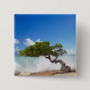 Search for tree square badges Island