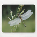 Search for large image mousepads Adam jones