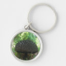 Search for fungi key rings Nature