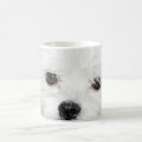 Search for cute shih tzu mugs White