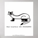 Search for ferret art posters Mustelid