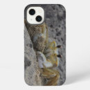Search for crab apple iphone cases Crustaceans