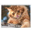 Search for maine coon cat gifts Feline