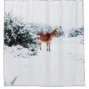 Search for horse shower curtains Snow